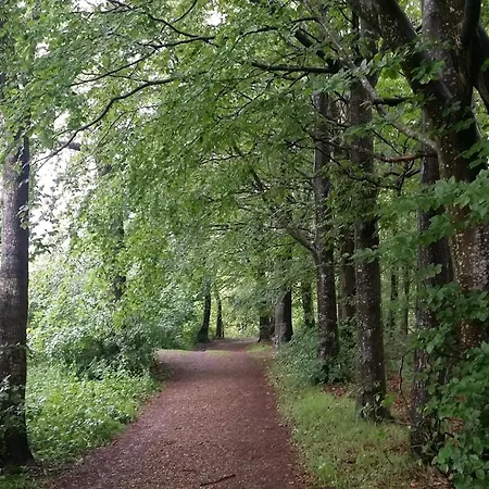 Lakefront Gem In Skarrild * Kibæk