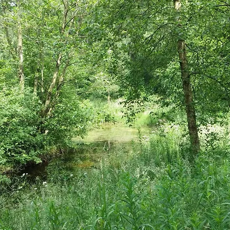 Lakefront Gem In Skarrild *