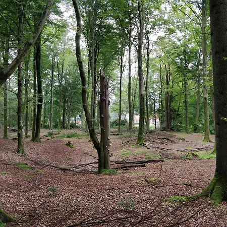Lakefront Gem In Skarrild * Kibæk